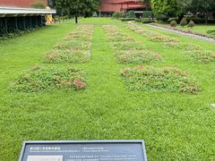 -南越王博物院(王宫展区)