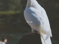-音乐台