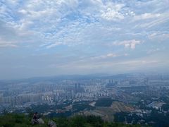 -长虫山生态公园风景林