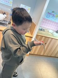 -Moni星球萌宠·小马宝莉·灵蛇·高端高阶全萌宠互动体验俱乐部(红豆国际广场店)