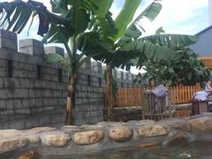 -陆地游轮吉林神农温泉