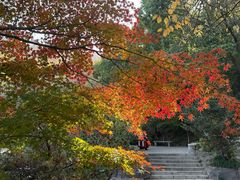 -虞山风景区
