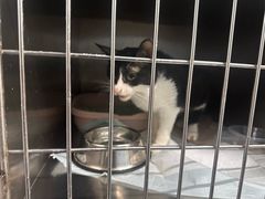 -天津前进宠物医院(前进道店)