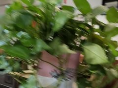 -北门涮肉·炭火铜锅涮肉(什刹海店)