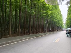 -日照海滨国家森林公园