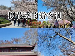-堤角公园