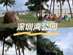 -深圳湾公园(南山区)