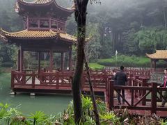 -铁山坪森林公园