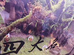 -正佳雨林生态植物园