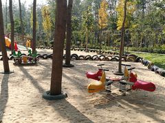 -合肥滨湖国家森林公园