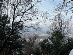 -紫金山山顶公园