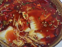 -乡土特色.冷锅鱼.牦牛肉汤锅