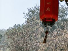 -梦姑塘文化公园