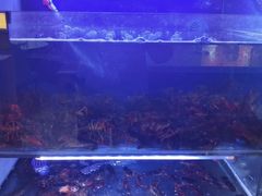 -虾铺子龙虾·私房菜(金源花苑店)