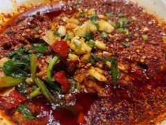 -柴窝堡22号辣子鸡·传承新疆菜