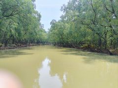 -大湾区中央湿地公园