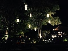 -Rimpa Lapin悬崖餐厅