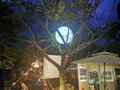-芭厘农庄老字号·清远鸡