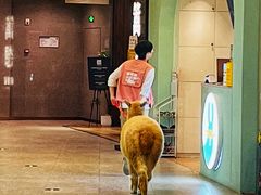 -东方福来德