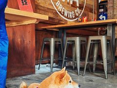 -京A Brewpub·精酿餐吧(幸福村店)