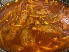-猫头鹰炸鸡