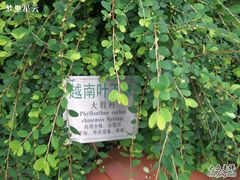 -广州神农草堂中医药博物馆