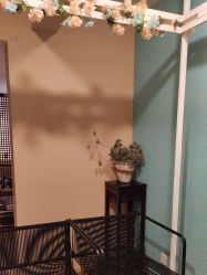 -香秀空间科技抗衰·美容中心