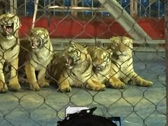 -西安秦岭野生动物园