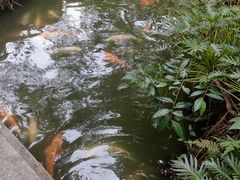 -珠海圆明新园