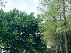 -南沙蒲洲花园
