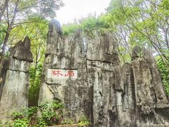 -深圳国际园林花卉博览园