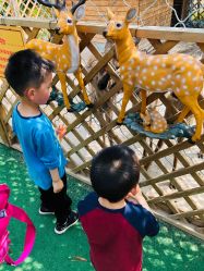 -萌宠亲子动物乐园(槐房万达店)