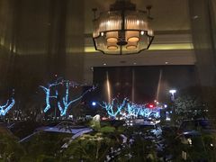 -索菲特西湖大酒店·香榭丽全日候餐厅(南山路店)