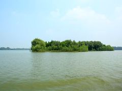 -溱湖国家湿地公园