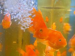 -如家酒店(北京师范大学积水潭店)