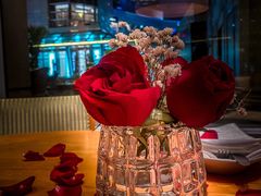 -君悦酒店·La Terrazza意合園·意式风味