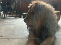 -鄂尔多斯野生动物园