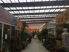 -龙大花卉苗木市场