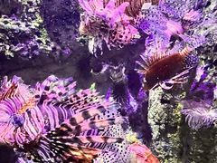 -太平洋海底世界