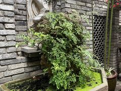 -鱼桥巷·美学川菜