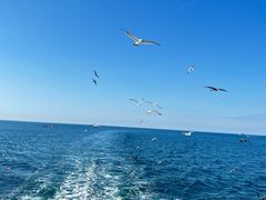 -海驴岛(荣成市)