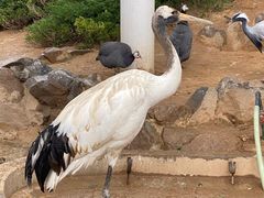 -辛玛王国游乐园