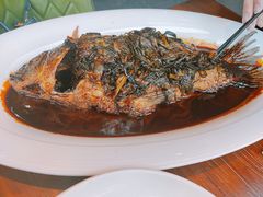 -田园居·佳宴(桑田路店)