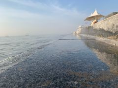 -刘家湾赶海园