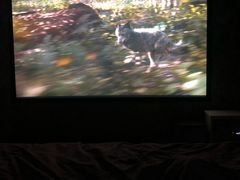 -小小班私人影院·猫咖(万达茂广场店)