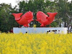 -光明小镇欢乐田园