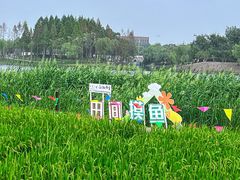 -杭州湾海上花田景区