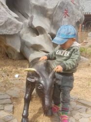 -萌宠亲子动物乐园(槐房万达店)