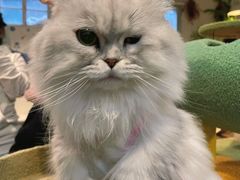 -小时光咖啡馆(北锣鼓巷店)
