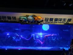 -成都浩海立方海洋公园